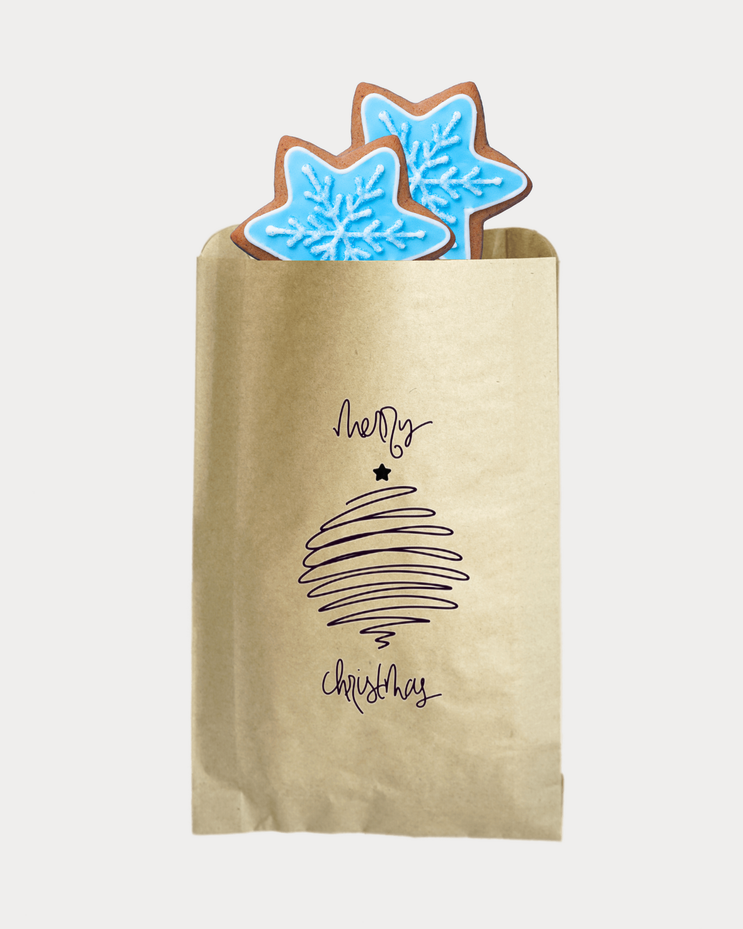Christmas Holidays party gift bags (pack of 10). These one of a kind, durable party paper bags make great food packaging, adding a nice touch to the special holiday season.
