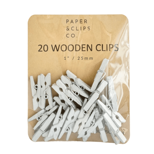 Silver Miniature Clothespins Wooden Clips
